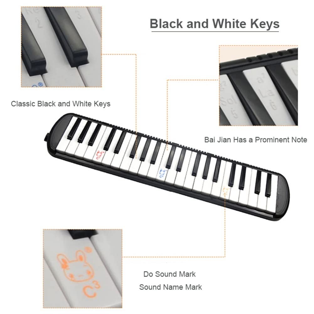 Strumento Musicale melodico a 41 Tasti Armonica a Gamma Media ad Ampia Gamma Professionale Suona l'organo a Bocca con Borsa Morbida in Tela di Oxford