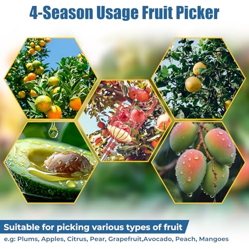 Herramienta Cosechadora Frutas 75" Alcance Largo miniatura 5