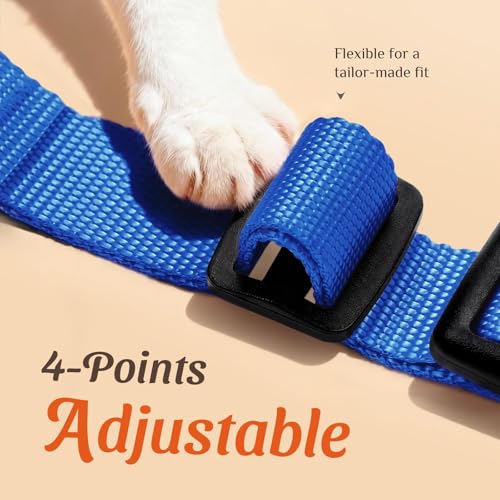 Image of Dooradar Cat Harness and Leash Set, Escape Proof Safe Adjustable Kitten Vest Harnesses for Walking, Easy Control Soft Breathable Mesh Jacket with Reflective Strips for Cats, Blue, XS