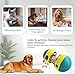 JWTEEE Intelligenzspielzeug für Hunde - Slow Feeder & Puzzle Spielzeug mit Futterfunktion, Denkspiele für Hunde (Hundeball, Spielzeugball, Hundespielzeug) für mittlere und große Hund (Green XL)