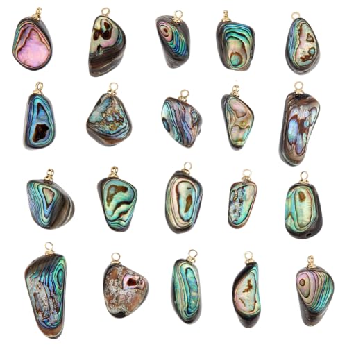 Image of PH PandaHall 20pcs Natural Paua Shell Pendants Golden Abalone Shell Charms