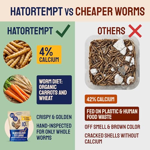 Image of Hatortempt 10lb Black Soldier Fly Larvae for Chickens, Feed for Laying Hens (Pack of 2)