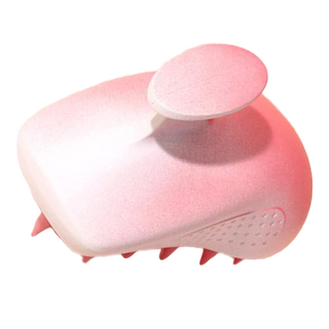 PACKOVE 5stücke Scalp Massaging Scrubber Kopfhaut Massagebürste Für Effektives Peeling Und Entspannung Geeignet Für Und Trockenes Haar