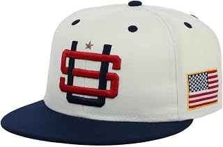 United States of America Country Pride Logo Adjustable Snapback Flat Bill Cap Platinum/Navy