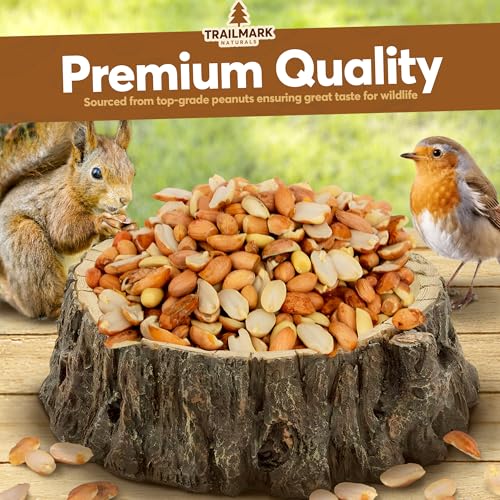 8 LB - Raw Shelled Peanuts For Squirrels, Out of Shell Peanuts For Birds and Wildlife- Squirrel Food, Wild Bird Seed - Grown in The USA