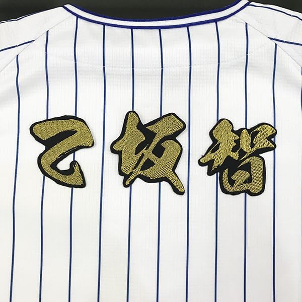 横浜 DeNA 刺繍ワッペン 乙坂 名前 毛筆/乙坂智/baystars/応援