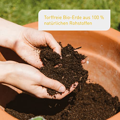 Torffreie Bio-Blumenerde von Plantura, klimafreundlich und vorgedüngt