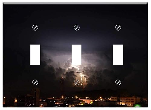 Switch Plate Triple Toggle - The Field Nature India Quindio Colombia 2