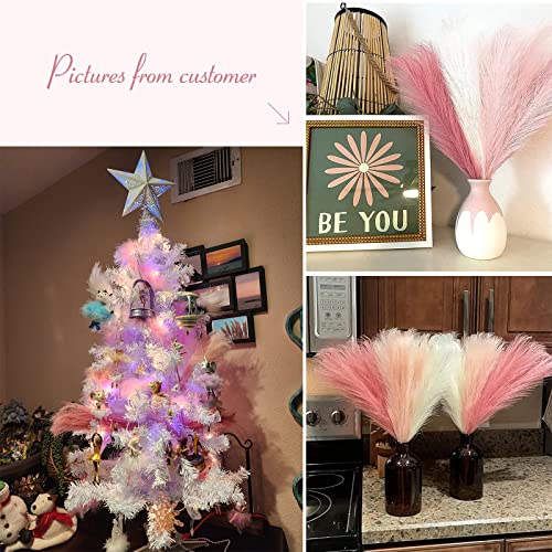 Serwalin Dried Pamapss Grass - Image 5