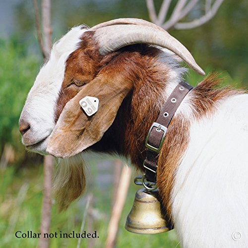 Premier 1 Ram & Sheep Livestock Bell