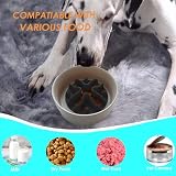 Hundenapf Anti Schling Napf Hund Slow Feeder Hundenäpfe mit Saugnäpfen, Anti-Schling Napf für Langsames Fressen, Fressnapf für Trockenfutter (Schwarz, S-10X10CM)