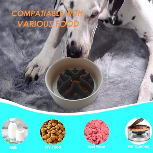 Hundenapf Anti Schling Napf Hund Slow Feeder Hundenäpfe mit Saugnäpfen, Anti-Schling Napf für Langsames Fressen, Fressnapf für Trockenfutter (Schwarz, S-10X10CM)