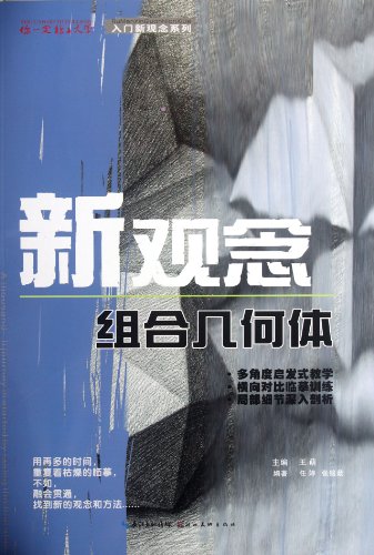 Assembled Geometry: New Concept (Chinese Edition)