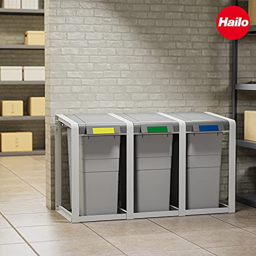 HAILO Cubo Profiline Öko XL Poubelle de tri basic 38L compacte