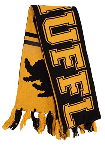Harry Potter House Winter Knit Scarves - Reversible Design, 64" Length, All Houses Available, Officially Licensed Scarf3