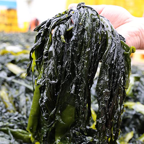 Wando Getrocknete Flocke Kelp, Kombu Algen Tangle Südkorea Premium Qualität Seaweed Gemüsealgen, Gesund Seetang Wakame Koreanische Lebensmittel Dashi Brühe Miso Suppe Salat (Seetangschnitt)