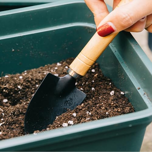Set de 3 herramientas de jardinería BIJOOT miniatura 6