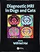 Diagnostic MRI in Dogs and Cats