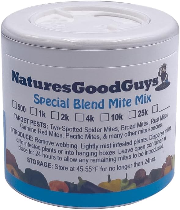 2,000 Live Adult Predatory Mites - A Mix of Predatory Mite Speciesl - Ships Next Business Day!l