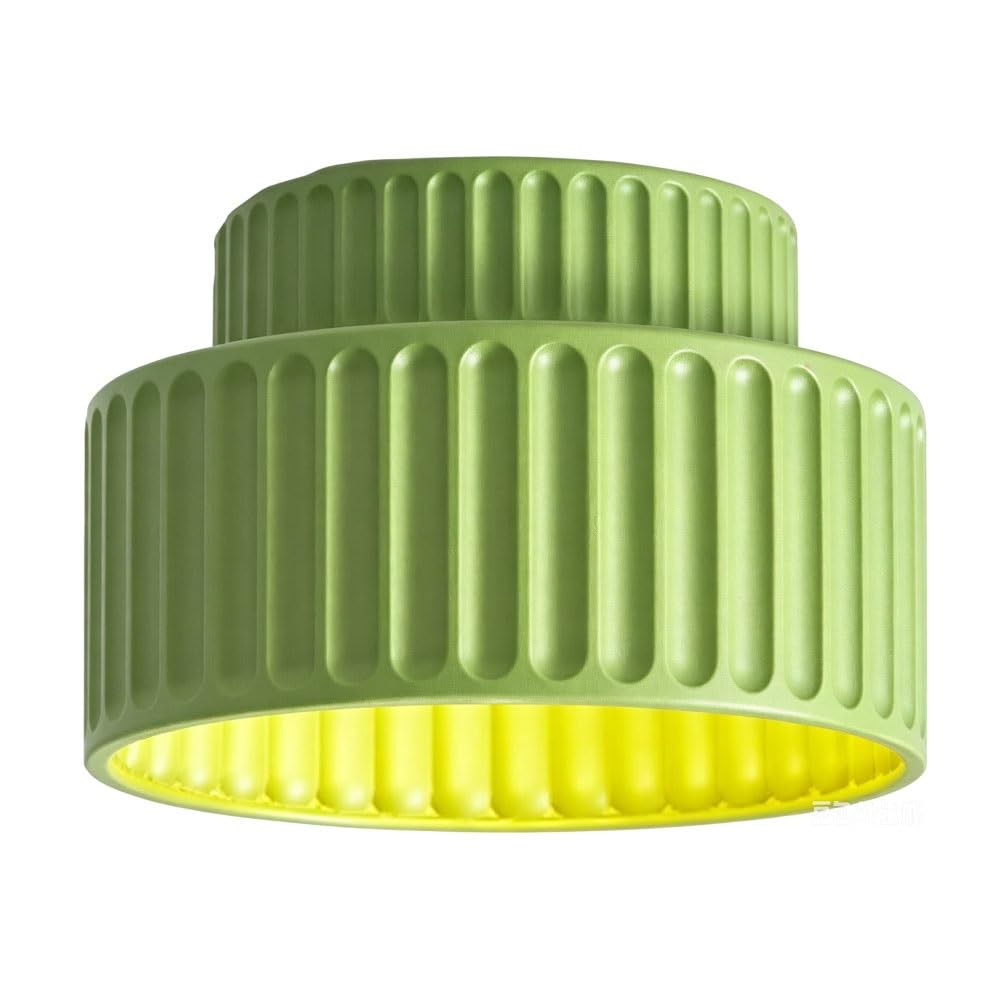 LUOYAOB Colorful Resin Ceiling Lamp Modern Close to Ceiling Light Flush Mount Ceiling Fixture Equipped with E26/E27 Base Indoor Lighting for Cloakroom Kitchen Porch Hallway(Green)