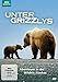 Produktbild Unter Grizzlys