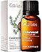 Price comparison product image Gya Labs Cedarwood Essential Oil for Hair and Diffuser - Essential Oil Cedarwood Oil for Hair, Aromatherapy & Skin - Fresh, Woodsy, Piney Scent - 100% Natural (10ml)