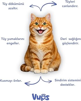 Tüy Yumağı Karşıtı Kedi Malt Macunu 100 gr