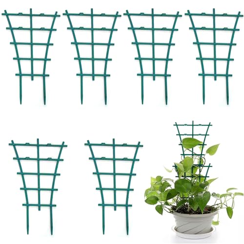 |x Ax y6ZbgzAT|[gt[ Ԃ Xe[N K[fjOpx ~jgX AT|[gt[ Ԏx |p