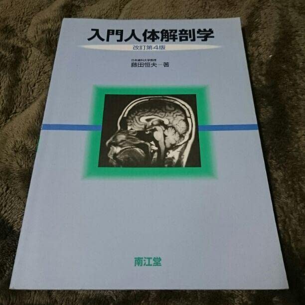 Amazon.co.jp: 本 入門人体解剖学 改訂第4版 何江堂 : 文房具
