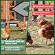 Geflügel Futtertrog Ziegenfutterspender Zaun Futterspender Hängende Hühner Tränke mit Clips Chicken Feeder für Hühnerfutter Nutztiere 2 Stück