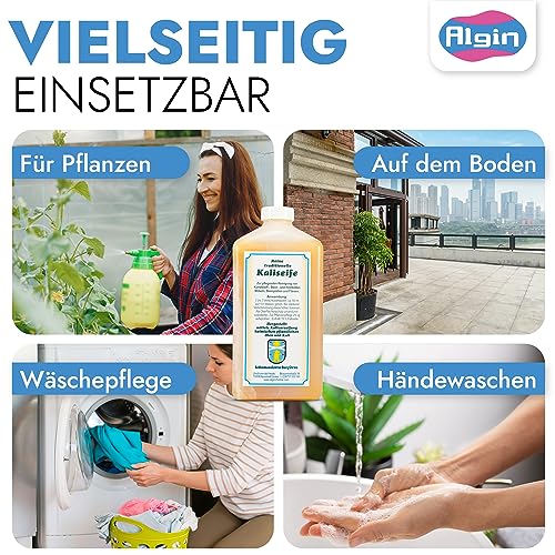 Schmierseife Algin Kaliseife 4 Liter Kanister für vielseitige Reinigung