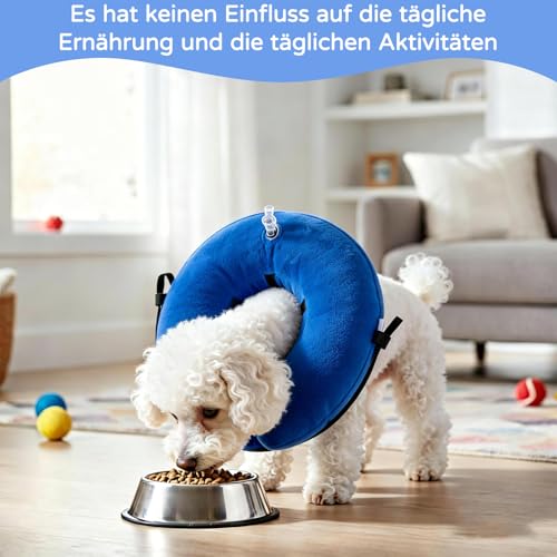 Kragen Hund, Aufblasbare Halskrause Hund & Katze, Hunde Halskrause mit Verstellbarer Klettverschluss, Hundekragen für Genesung Nach Operationen Oder Wunden für Klein Hunde Katze