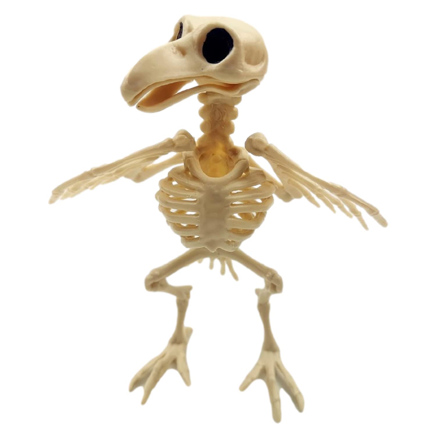 Amazon.co.jp: GK-O ハロウィン 鳥 カラス カラス 骨 動物 ホラー