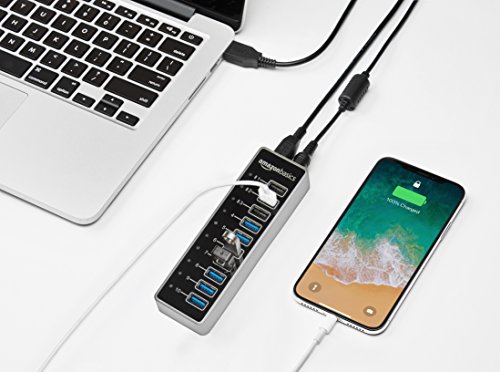 Amazon Basics Usb-A 3.1 10-Port Hub With Power Adapter - 65W Powered (20V/3.25A), Silver #TOP1
