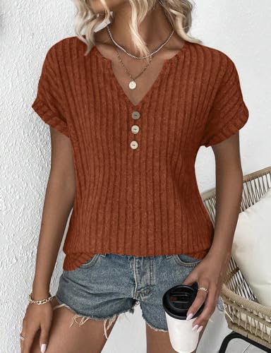 Image of LURANEE Womens Short Sleeve Sweaters V Neck Tops Lightweight Dressy Casual Shirts Work Blouses S-XXL
