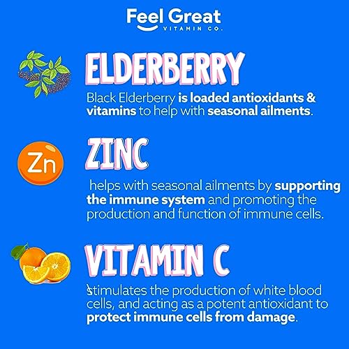 Image of Feel Great Kids Elderberry Gummies with Zinc and Vitamin C | Immune Support Sambucus Elderberry | Berry Flavored Vegan Kids Multivitamins | 60 Day Supply