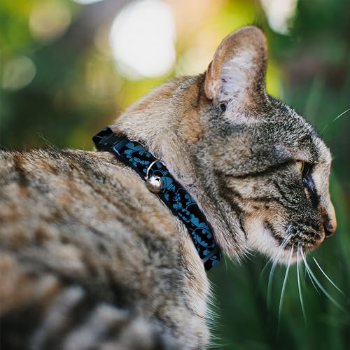 Collar para Gato Mediano Ajustable de 20-30 cm con Cierre Resistente Azul Negro 3