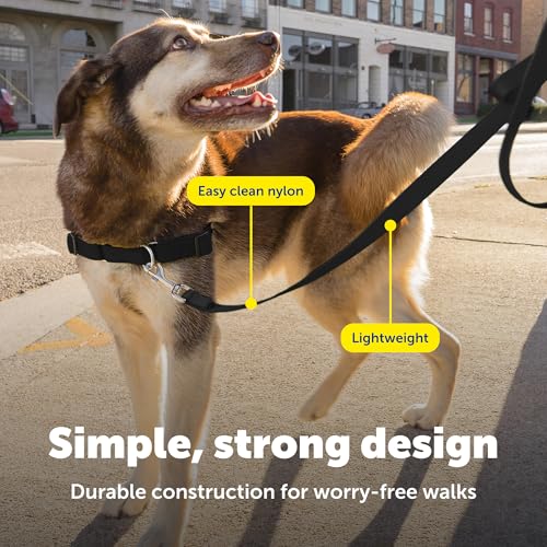 Image of PetSafe Nylon Dog Leash Strong, Durable, Traditional Style Lead with Easy to Use Bolt Snap for Small, Medium and Large Dogs 3 /4 inch x 4', Black