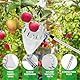 WDKXCN Obstpflücker, 3.2M Apfelpflücker mit Teleskopstiel aus Aluminiumlegierung, Obstpflücker mit Diameter 16cm Stoff Tasche, Obstpflücker für Kirschen, Pflaumenpflücker, Kirschenpflücker