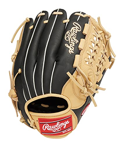 シ*こ様 【未使用級美品】Rawlings 一般軟式用 ブラック×キャメル Rawlings HOH PRO EXCEL Wizard ブラック 24SS