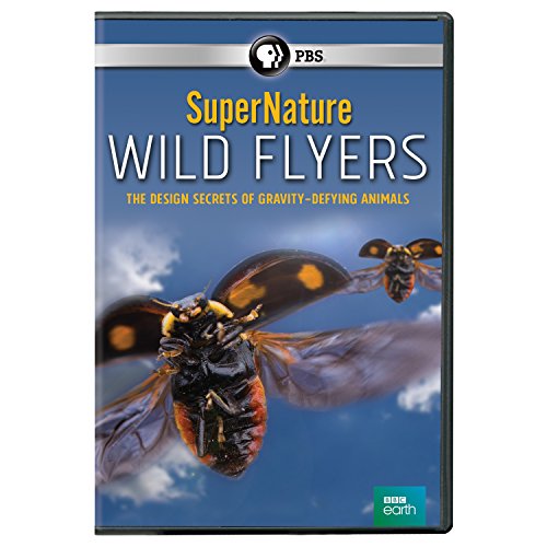 Supernature: Wild Flyers DVD documental de aves importado de Estados Unidos versión original 2