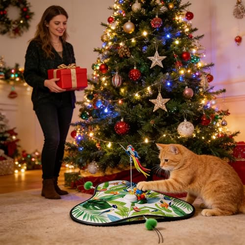 Jouets électroniques pour chats pour animer son moment de solitude au salon