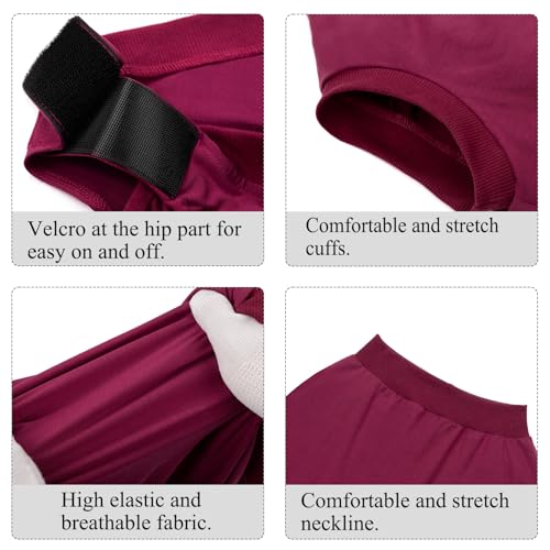 Hundebody Nach Op Body Hund Nach Kastration Hündin Rüde Leckschutz Hundebody Operationsbody Hund Op Anzug Anti Leck Medizinischer Body Wundschutzanzüge für Hunde Einteiler Medical Pets Shirt – Bild 5