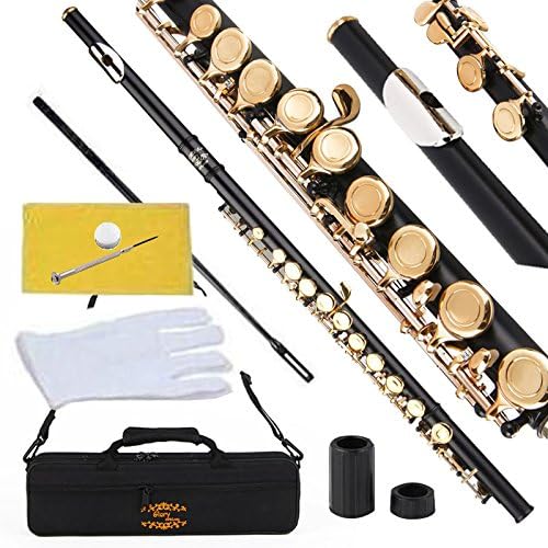 Closed Hole C Flute With Case, Tuning Rod and Cloth and Gloves black/Laquer