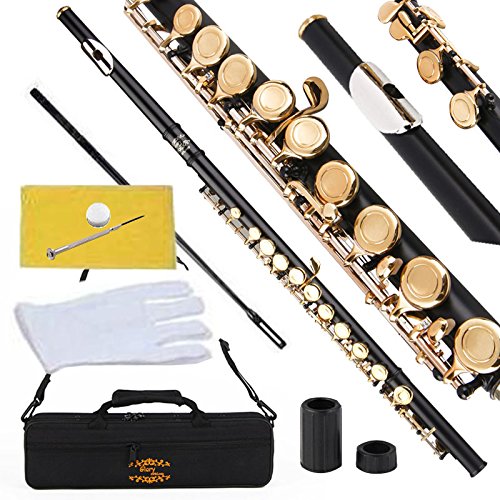 Glory Closed Hole C Flute With Case, Tuning Rod and Cloth and Gloves black/Laquer