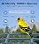 Smart Bird Feeder with Camera - 2.5K HD Night Vision Bird Feeder with Camera Solar Powered, Free AI Identify Auto Video 170° Live View Birds Feeders for Birds Lovers Outdoors(Blue)