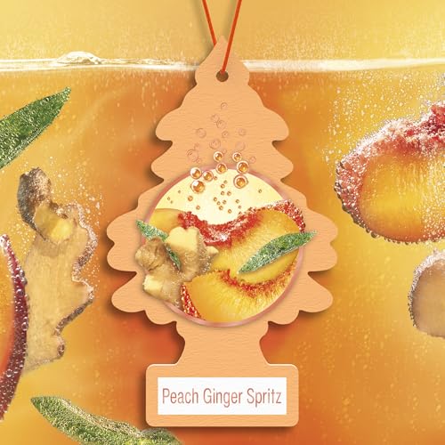 Image of LITTLE TREES Car Air Freshener | Hanging Tree Provides Long Lasting Scent for Auto and Home | 24 Air Fresheners |Peach Ginger Spritz