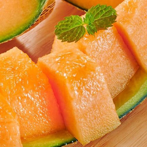 [26年発送先行予約]北海道赤肉メロン 2kg 1玉入り(2026年7月中旬から発送開始予定) [ 果物 くだもの フルーツ メロン 赤肉 赤肉メロン 旬 お取り寄せ 甘い 北海道産 旭川市 北海道 ]_04753