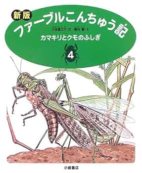 DVD ファーブル昆虫記　5 カマキリとミノムシ DVD ファーブル昆虫記 5 カマキリとミノムシ ファーブル昆虫記