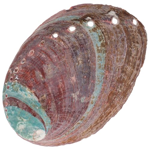 COHEALI �A���r�̊L�k���F �������� �������e�� ���@�p�L�k�{�E�� ���p�r�z�[���f�R���[�V���� ����������H�|�i�z���_�[�Ƃ��Ă��g�p�\